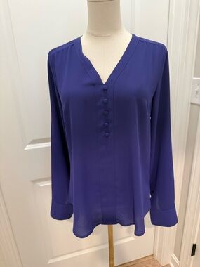 Express Purple V-Neck Long Sleeve Blouse
